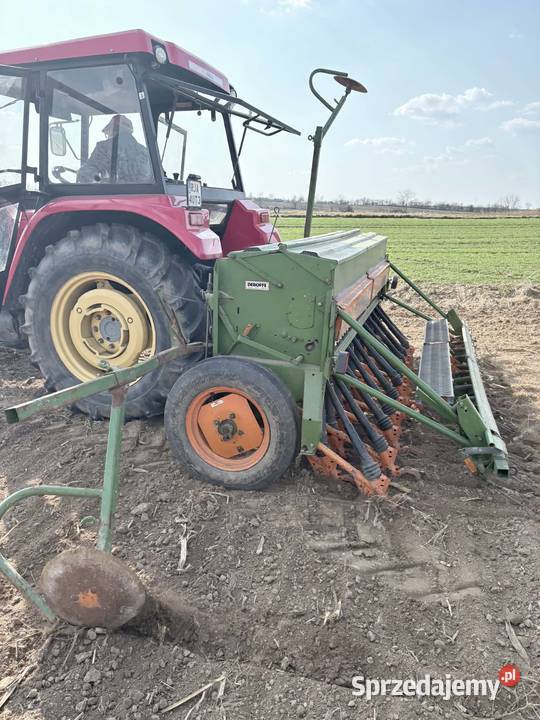 Siewnik zbożowy amazone d8 3m Pełkinie sprzedam