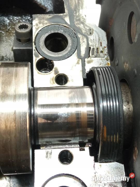 GŁOWICA KOMPLETNA 038103373R 19 TDI VW Rok produkcji 2006