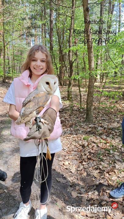 Roztocze Dziupla Pana Sowy Pozostałe Bondyrz