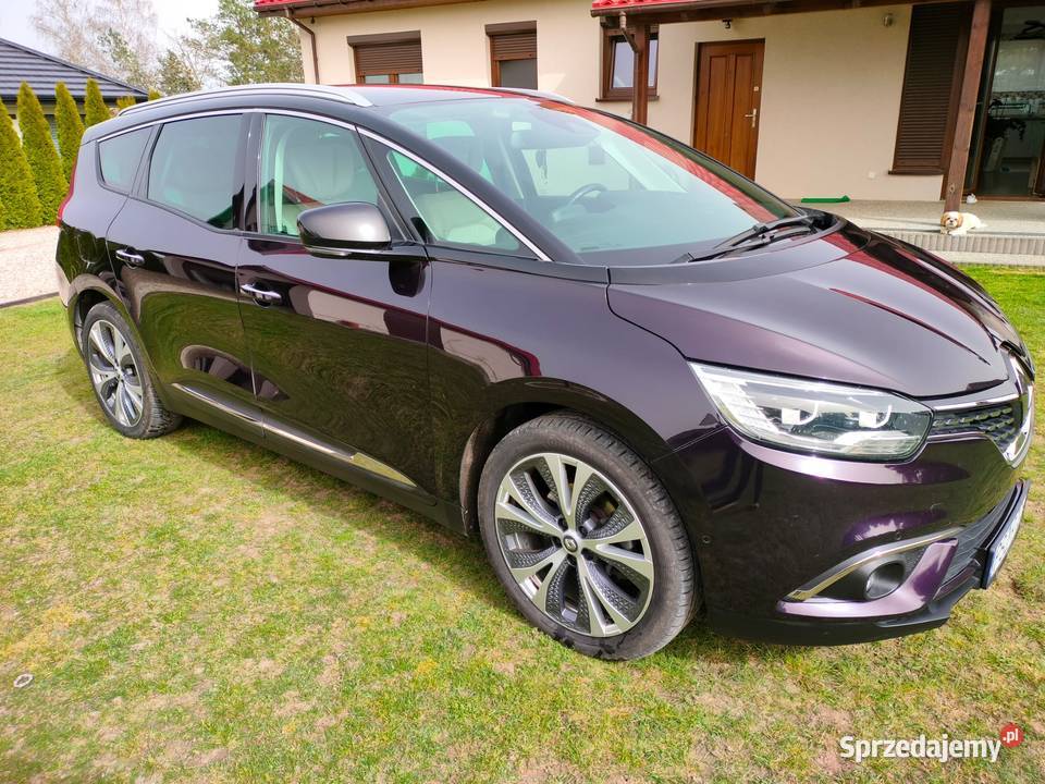 Renault Grand Scenic 4 Sękowo