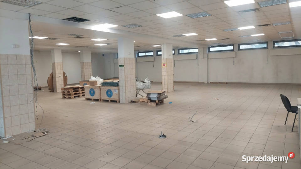 Lokal na Wynajem Wrocław Wynajem