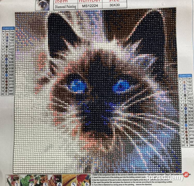 Mozaika diamentowa Kot z niebieskimi oczami