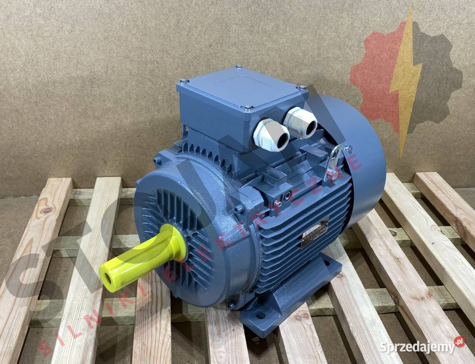 silnik elektryczny 185kW 2900obr 160B3 kujawsko-pomorskie Pigża