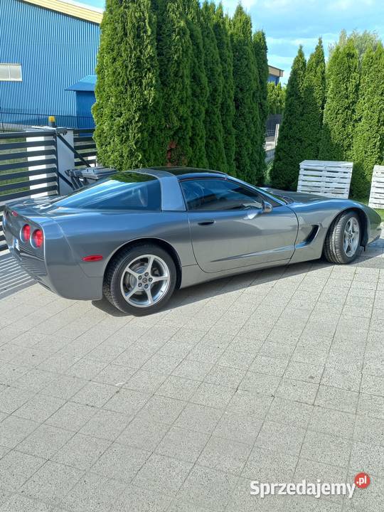 Chevrolet Corvette C5 Jarosław
