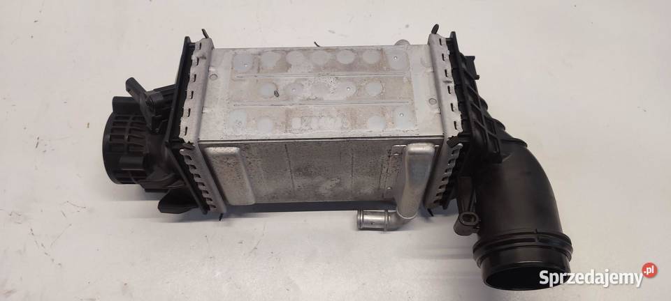 SEAT TARRACO VW TIGUAN II INTERCOOLER 15TSI osobowe