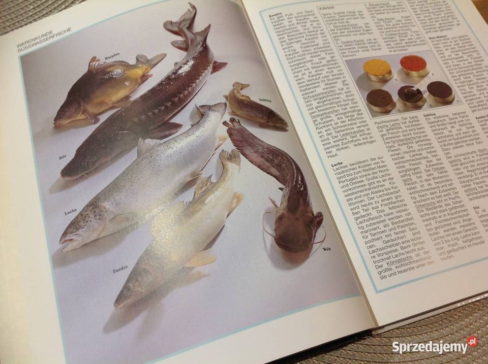 Poradnik Kulinarny Książka Ryby i Owoce Morza lubuskie Nowa Sól