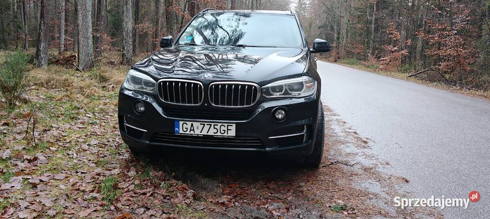 BMW X5 30 benzyna full wersja Gdynia