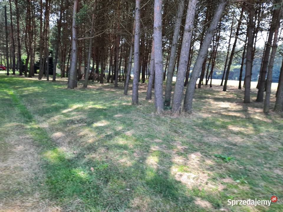 Sprzedam działkę rekreayjną Rybnik