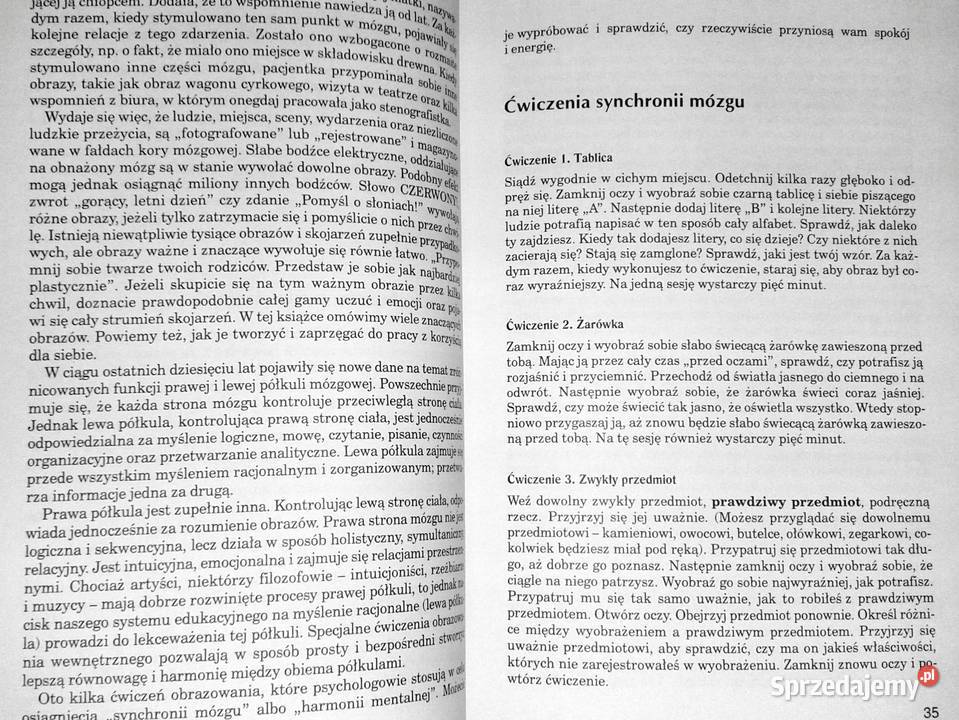 Wyobraźnia w psychoterapii Arnold A Lazarus Rok wydania 2000