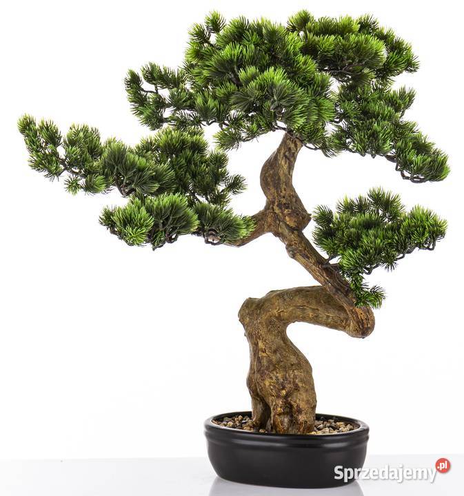 Sztuczne drzewko Bonsai Premium w doniczce Golkowice sprzedam