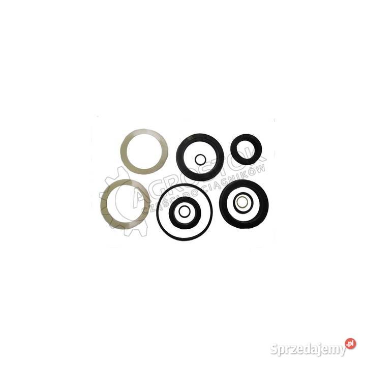 Komplet naprawczy siłownika łapy jumz e02621a Parczew