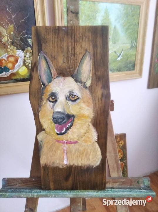 Koguty kury konie psy na deskach inne ptaki sprzedam