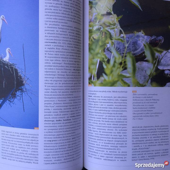 1084 Przyroda Pomorza Zachodniego sprzedam