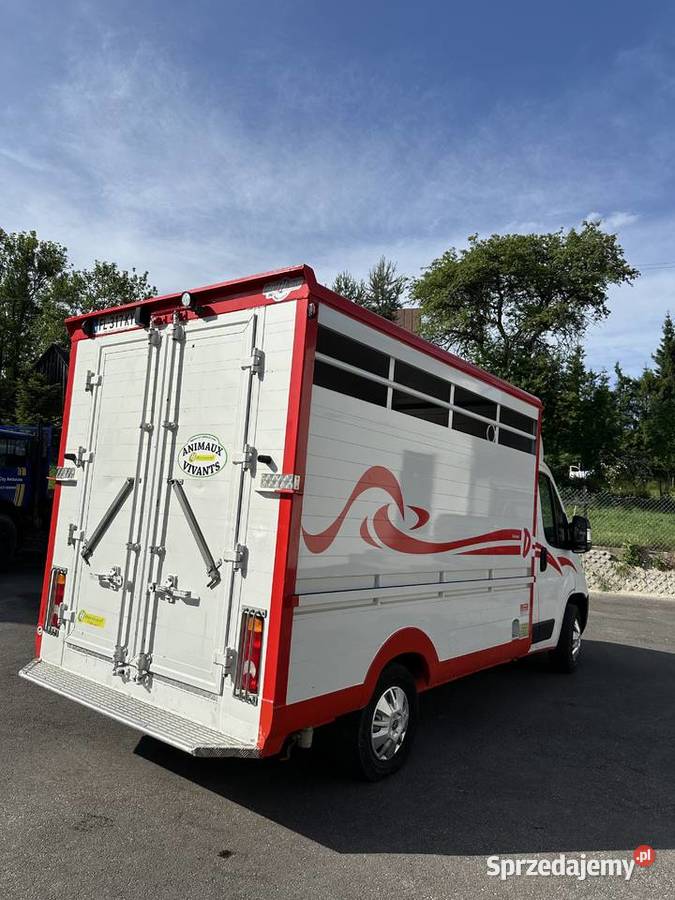 Bydlarka peugeot boxer Nowy Targ