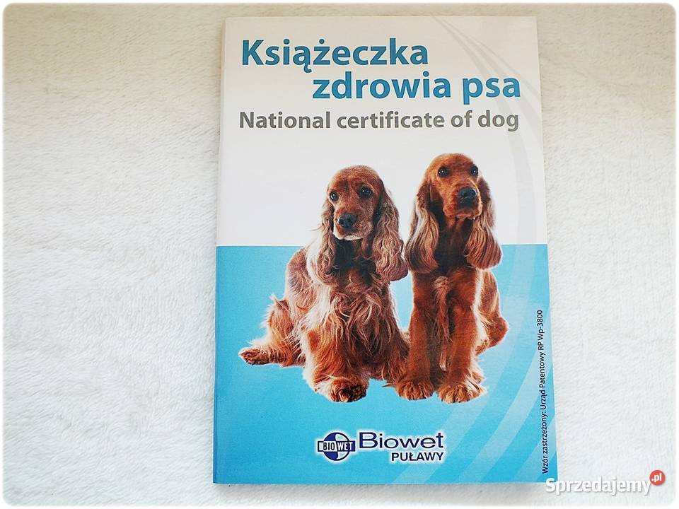 Książeczka Zdrowia Psa Cocker Spaniel rasy Dla psów Dla psów Lubsko