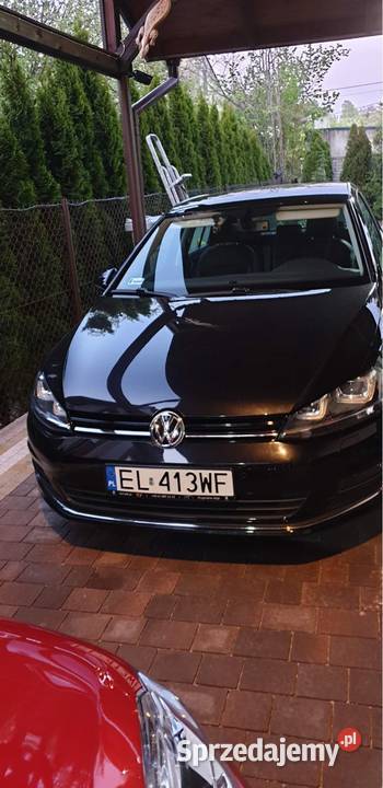 Volkswagen Golf 7 2016 Salon Polska