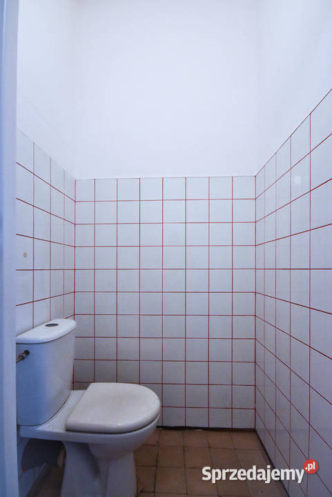 Lokal handlowo usługowy 58 mkw Pabianice
