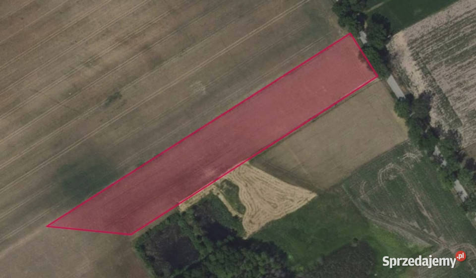 Działka 57 w Zaborowie Starym budowlana Zaborów Stary