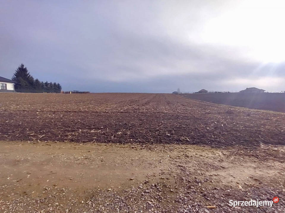Działka 5000 metrów Miłocin