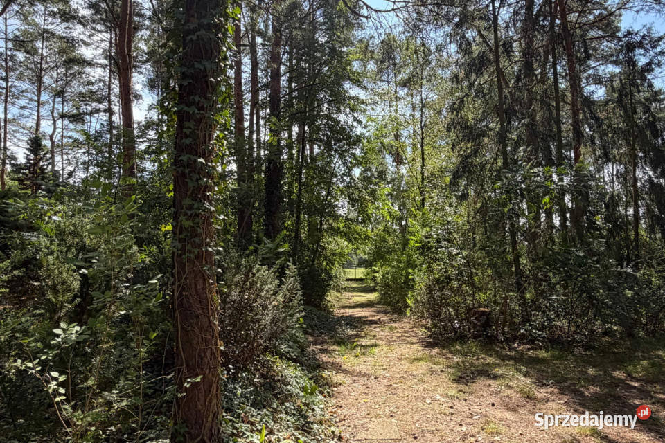 Tuchlin dom letniskowy na działce 1172 m2 mazowieckie sprzedam
