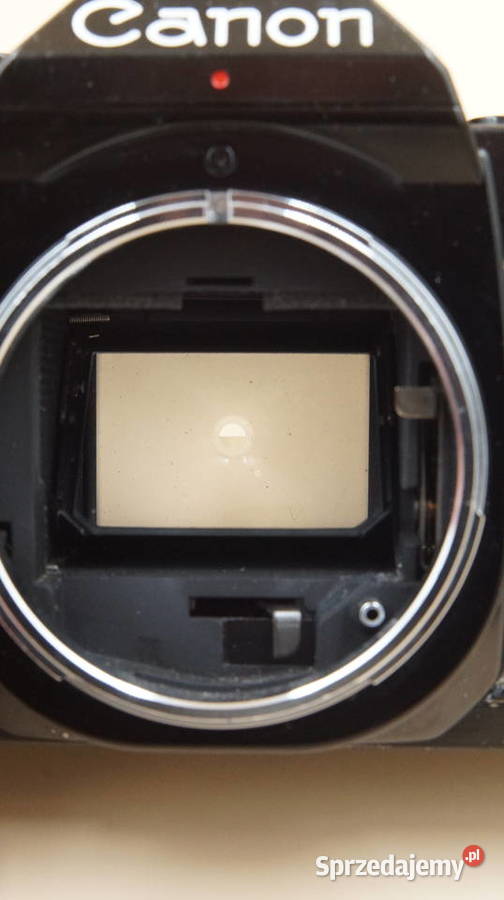 Canon AE1 Program Grodzisk Mazowiecki