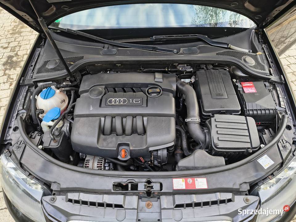 Audi A3 8P Sportback 16MPI 102 Ambietne benzyna A3 dolnośląskie Lubań