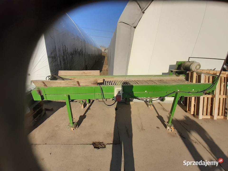 Przenośnik prętowy do warzyw Radostowice