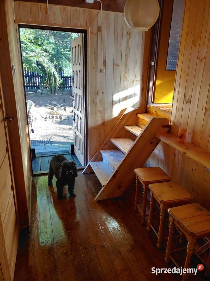 Dom letniskowy Szypry 6 Olsztynem