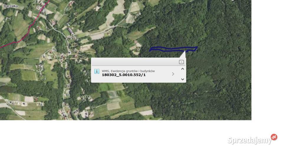 Sprzedam Las Kamienica Górna sprzedam