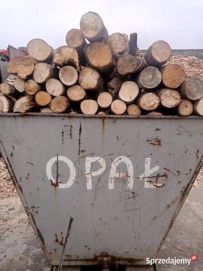Drewno opałowe w 250 m3 Brzeźno