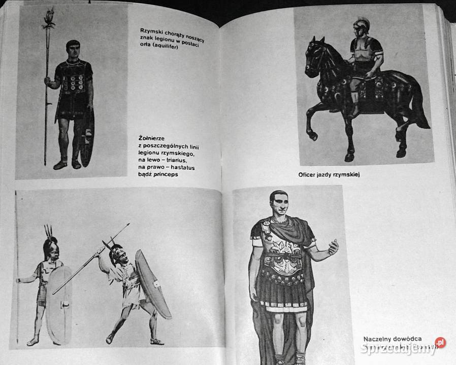 Kanny 216 pne Janusz Sikorski Chełm