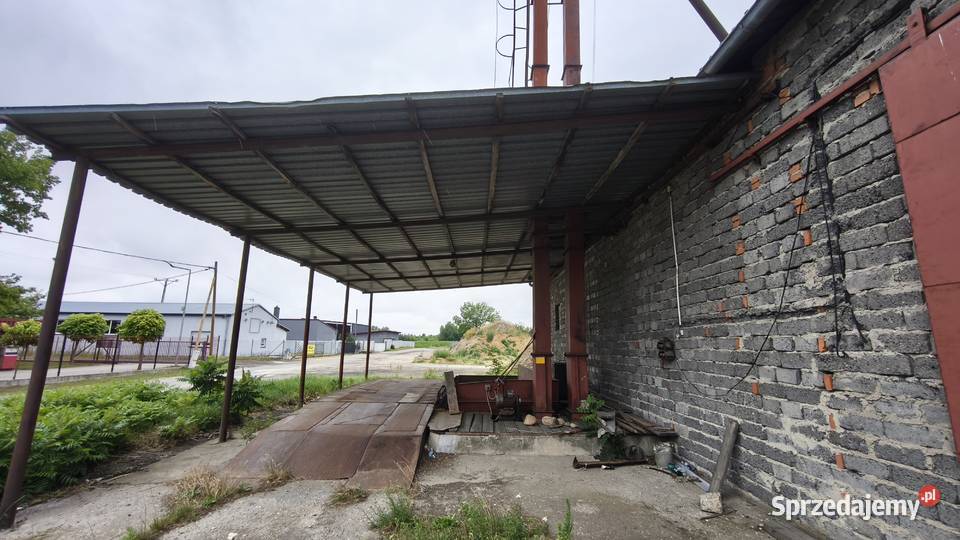 Magazyn grunt 23 ar idealny pod biznes Wilków sprzedam