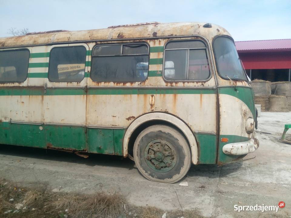 Jelcz ogorek PRL PKS MPK zabytek Motoryzacja