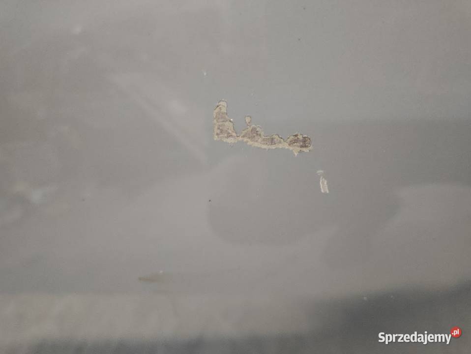 Drzwi Prawy Przód BMW 5 G60 G61 41515A32EA4