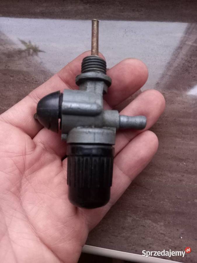 Kranik komar sztywniak junak Sokołów Podlaski