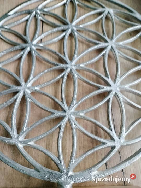 Dekoracja drzewo szczęściakwiat szczęścia Gilde zachodniopomorskie