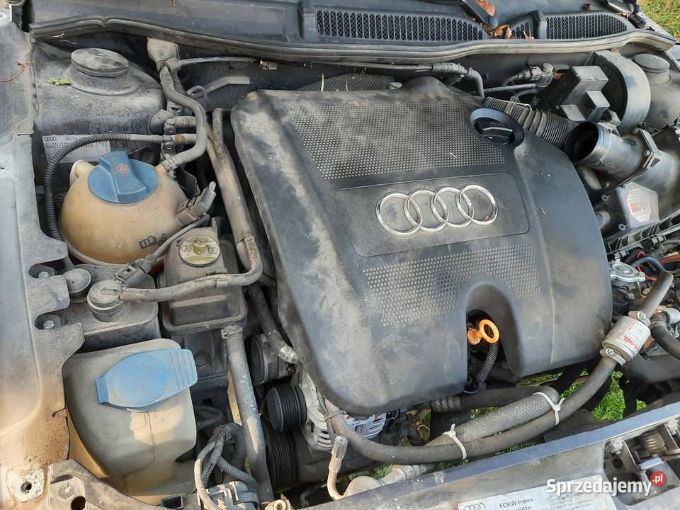 Części audi a3 8L mazowieckie Dziadkowskie