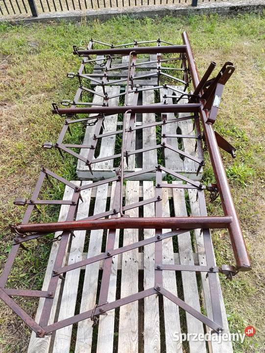 Brony 3 polowe mazowieckie Nieporęt