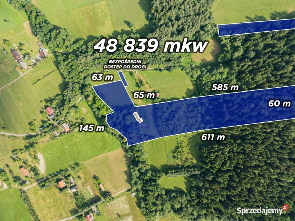 Siedlisko Pisarzowa prawie 5 ha