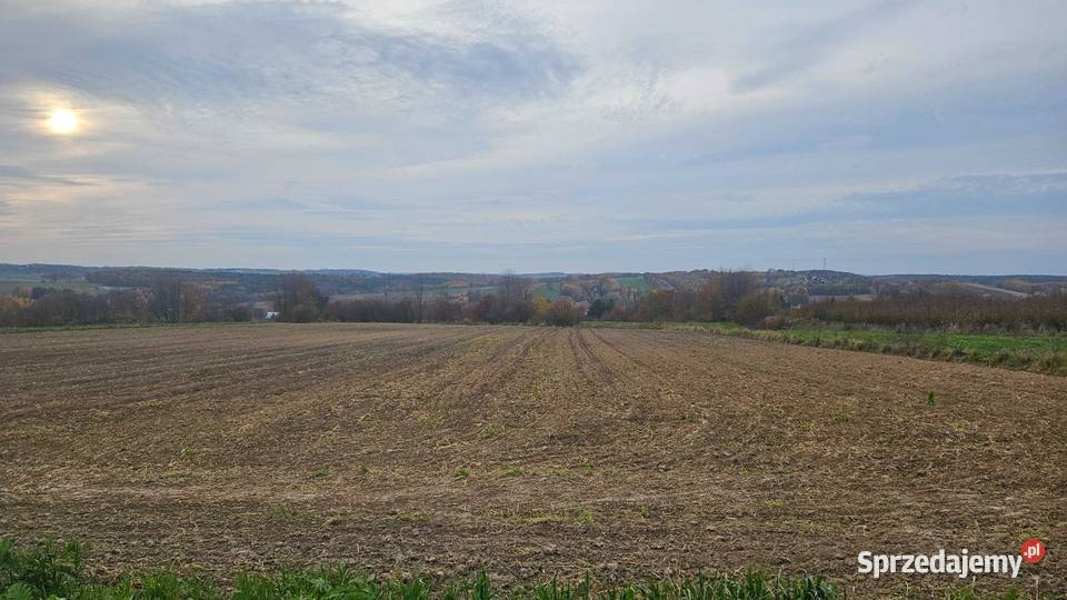 Dzierżawa gruntów rolnych opolskie Namysłów