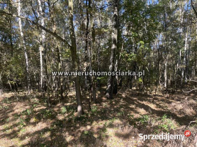 Grunt 15421m2 Czyżowice