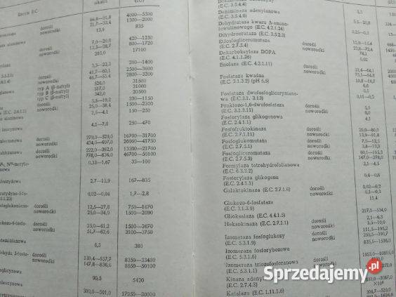 Normy i kliniczna interpretacja badań Łódź