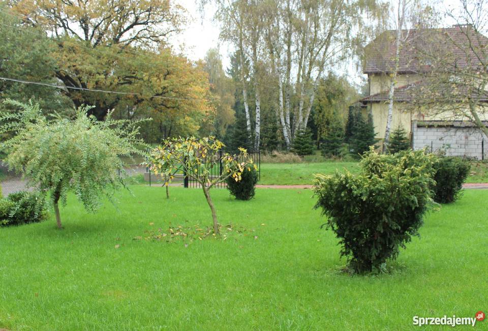 Działka Szczecin Płonia budowlana 1924 m2 130zł/m2