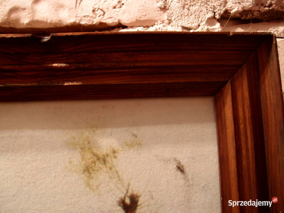 Obrazy Pejzaż jeziora i zjazd pod gospodą okres Łódź