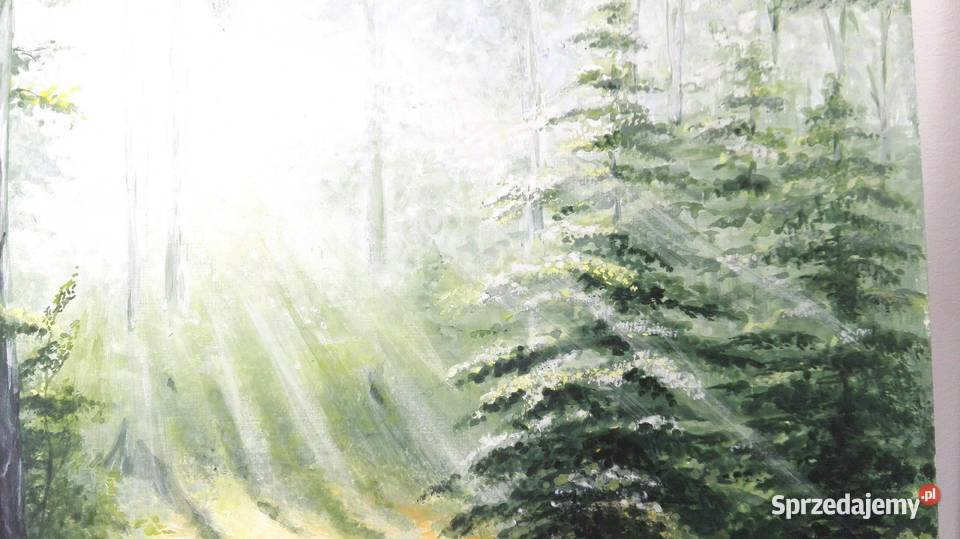 Obraz ręcznie malowany Poranek w lesie Łódź