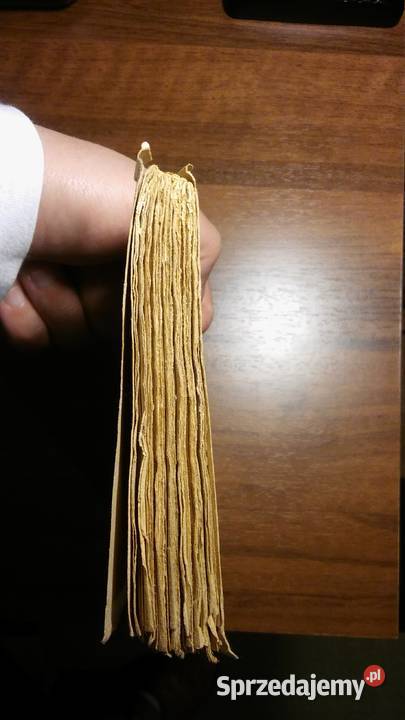 Charles Dickens Le Grillon du Foyer fantasy