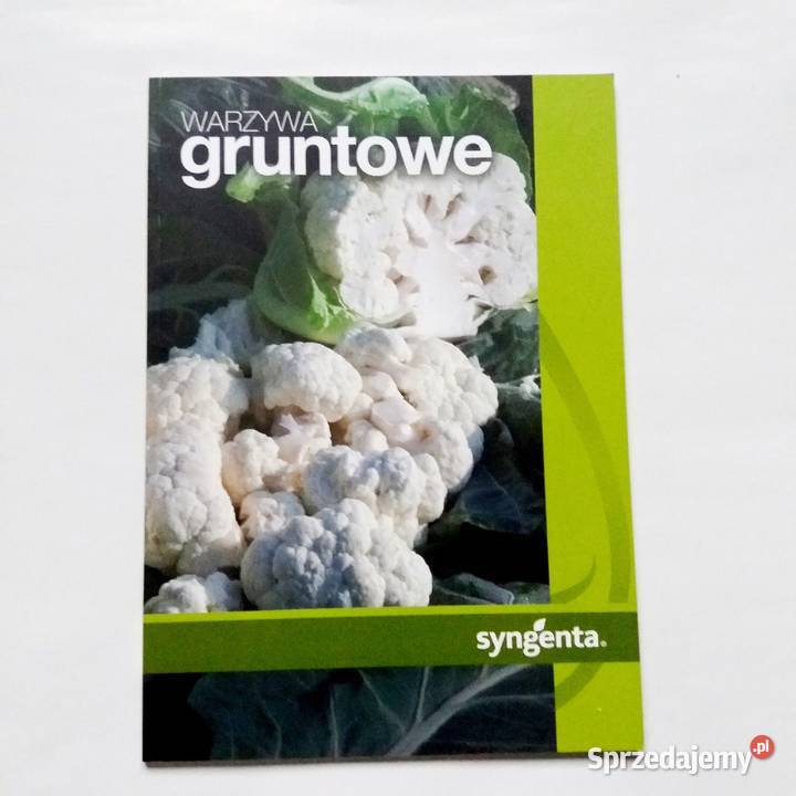 Warzywa gruntowe Łódź