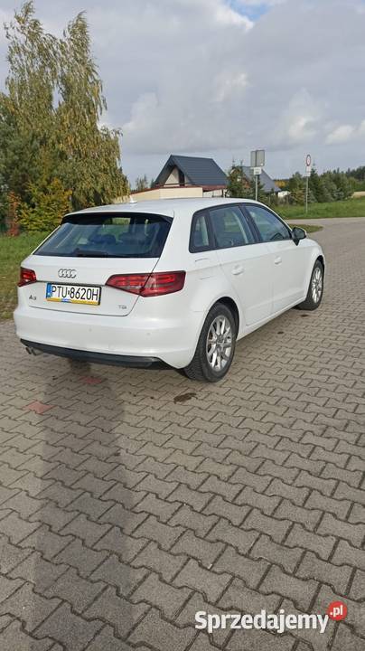 Audi a3 8v 2016 150KM Turek