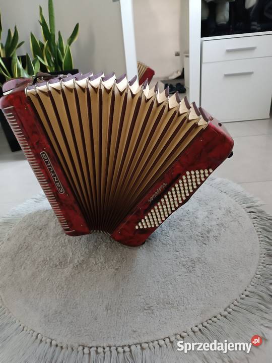 Akordeon cantulia 96 basów Dębica
