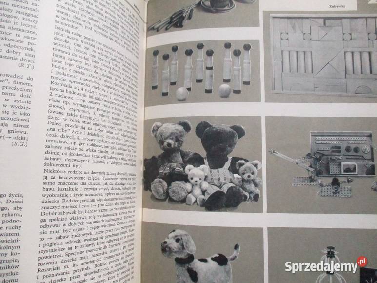 Dziecko w wieku przedszkolnym dzieckorozwój Kultura i Rozrywka Łódź